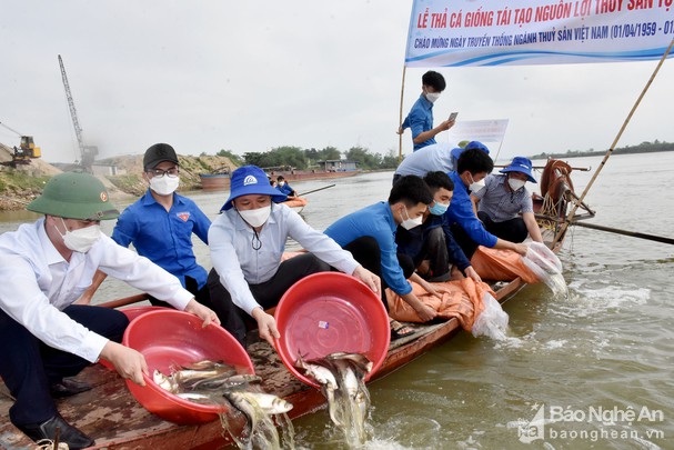 Trường Đại học Vinh thả hơn 1 triệu con cá giống xuống sông Lam để tái tạo nguồn lợi thủy sản