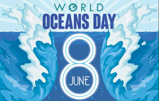 Ngày Đại dương thế giới 8/6: Tầm quan trọng và thực trạng của đại dương