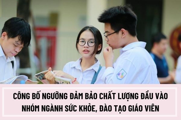 Ngưỡng bảo đảm chất lượng đầu vào nhóm ngành đào tạo giáo viên và sức khỏe năm 2025
